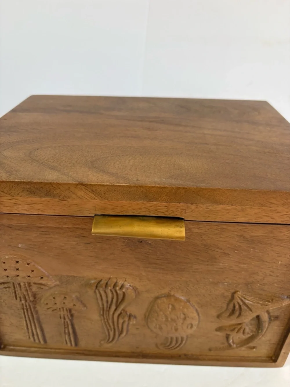 NWT Anthropologie Terrain Mushroom Seed Storage Box